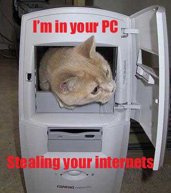I'm in your PC Stealing your internets
